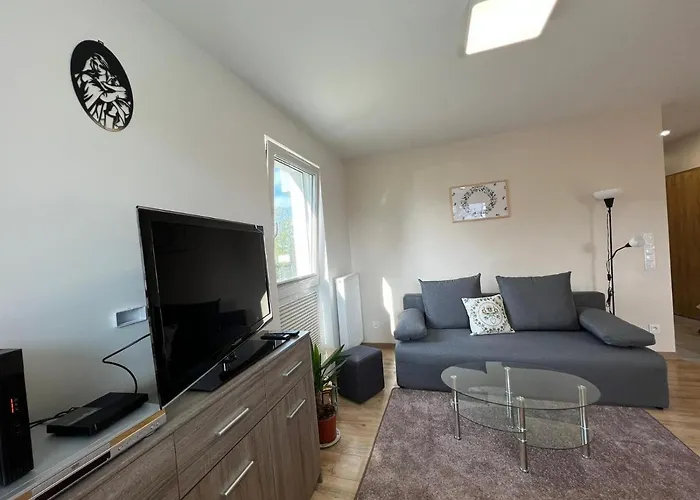 U Wujka 公寓 佐科沃